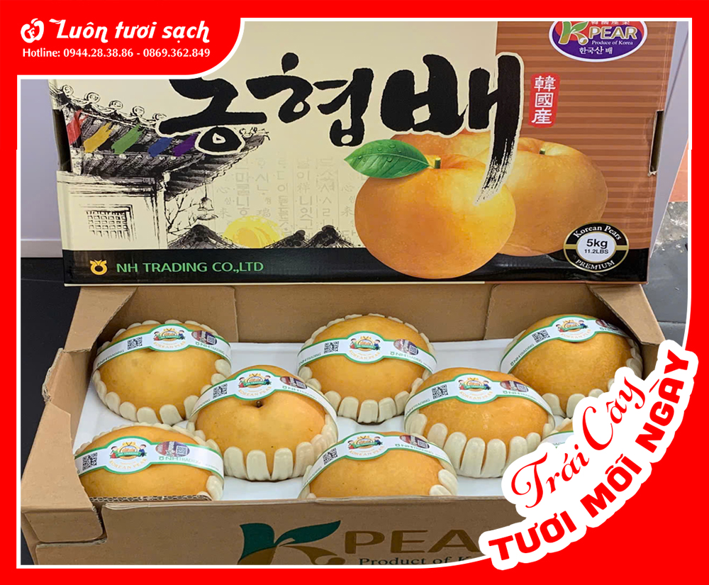 Lê Hàn Quốc nguyên thùng 5kg